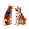 Dallas Cowboys Home & Away Pet Bandana Set