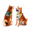 Green Bay Packers Home & Away Pet Bandana Set