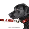 Alabama Crimson Tide Premium Pet Nylon Collar