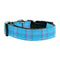 Blue Plaid Nylon Ribbon Dog Collar - National Fur League