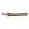 Rainbow Striped Nylon Ribbon Dog Leash - National Fur League