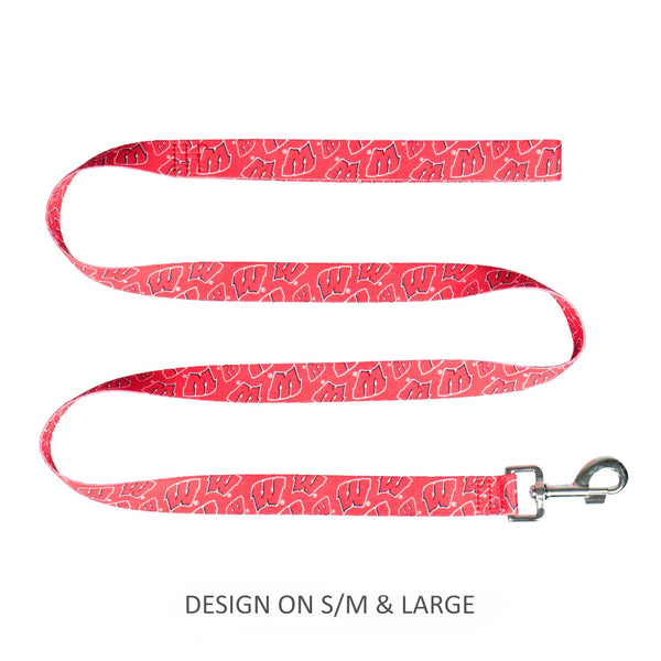 Wisconsin Badgers Pet Nylon Leash - National Fur League