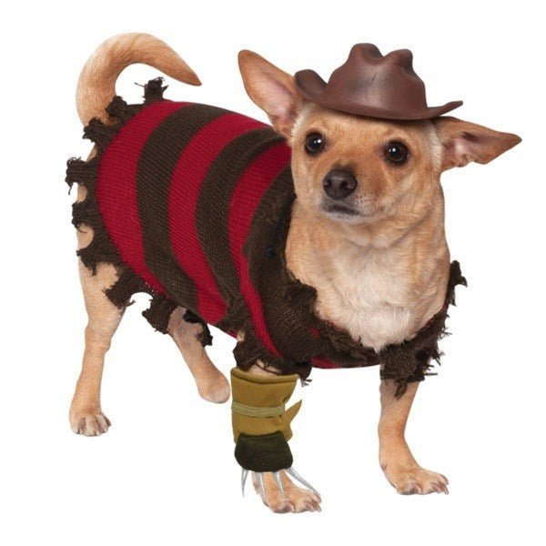 Freddy Krueger Pet Costume - National Fur League