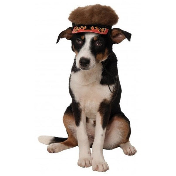 Flame Visor With Spiky Hair For Pets - National Fur League