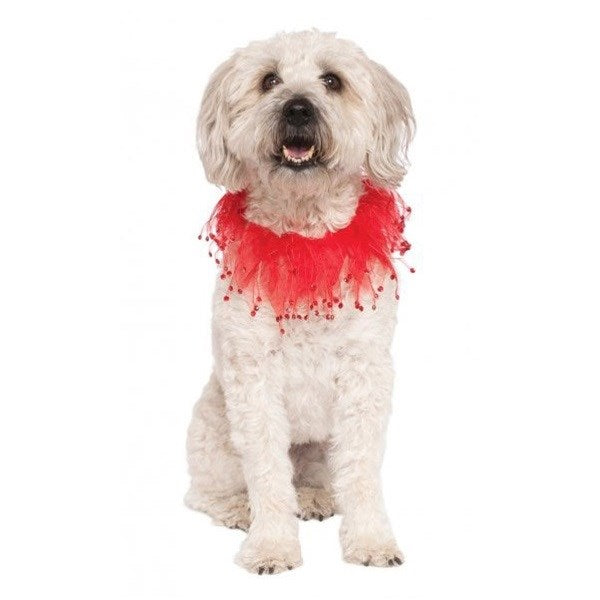 Red Fancy Pet Collar - National Fur League