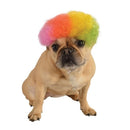 Rainbow Afro Pet Wig - National Fur League
