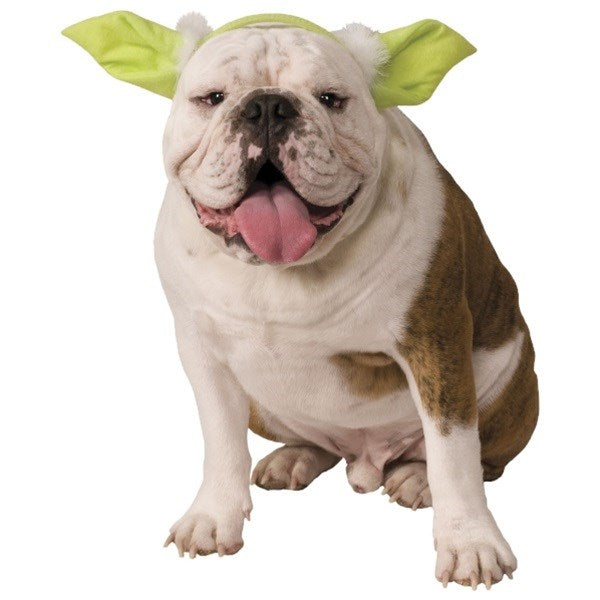 Star Wars Yoda Ears Pet Headpiece - National Fur League