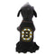 Boston Bruins Pet Hair Bow - National Fur League