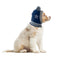 Dallas Cowboys Pet Knit Hat - National Fur League