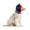 New England Patriots Pet Knit Hat - National Fur League