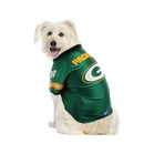 Green Bay Packers Pet Premium Jersey - National Fur League