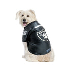 Oakland Raiders Pet Premium Jersey - National Fur League