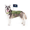 Denver Broncos Pet Tactical Vest - National Fur League