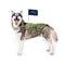 New England Patriots Pet Tactical Vest - National Fur League