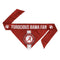 Alabama Crimson Tide Pet Reversible Paisley Bandana - National Fur League