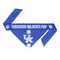 Kentucky Wildcats Pet Reversible Paisley Bandana - National Fur League