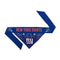 New York Giants Pet Reversible Paisley Bandana - National Fur League