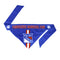 New York Rangers Pet Reversible Paisley Bandana - National Fur League