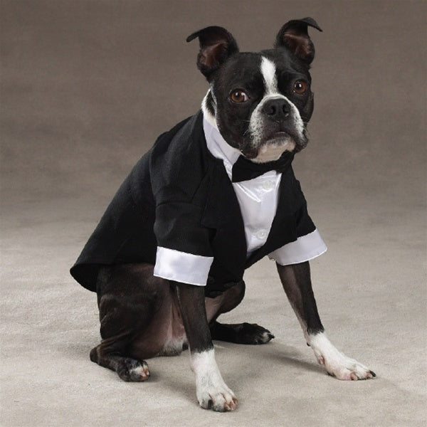 Yappily Ever After Groom Tuxedo - National Fur League
