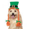 St. Patty's Day Pet Hat With Braids - National Fur League