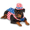 Big Dogs Uncle Sam Pet Costume - National Fur League