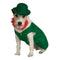 Leprechaun Pet Costume - National Fur League
