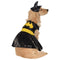 Batgirl Pet Costume - National Fur League