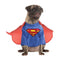 Superman Pet Costume - National Fur League