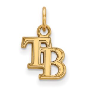 Women's Tampa Bay Rays Gold-Plated Sterling Silver Extra-Small Pendant