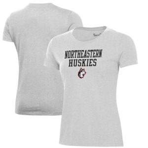 Women's Under Armour Gray Northeastern Huskies Performance T-Shirt