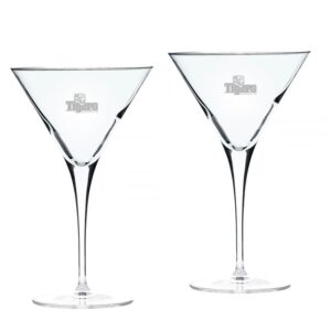 Memphis Tigers 2-Piece 10oz. Luigi Bormioli Titanium Martini Glass Set