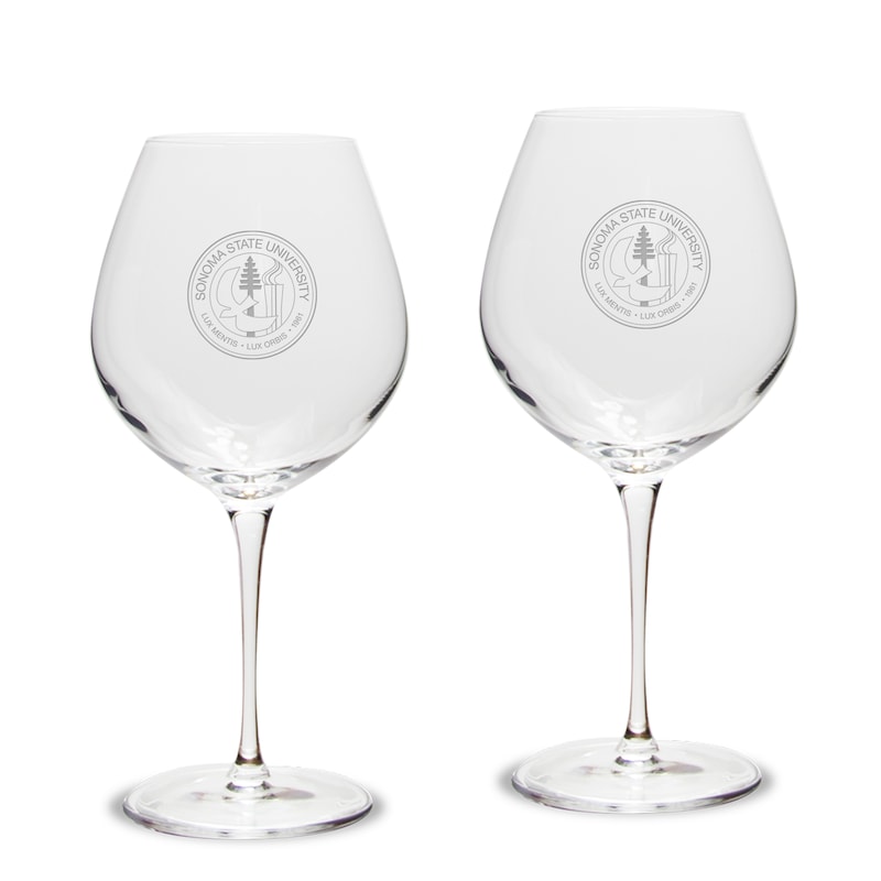 Sonoma State Seawolves 22oz. 2-Piece Luigi Bormioli Titanium Robusto Wine Glass Set