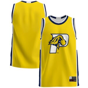 Men's GameDay Greats  Blue Pace University Setters  Lightweight Basketball Jersey