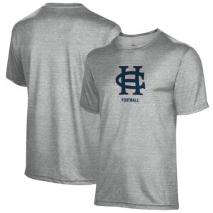 Youth ProSphere Gray Hanover Panthers Football T-Shirt