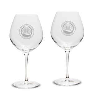 Claflin Panthers 22oz. 2-Piece Luigi Bormioli Titanium Robusto Wine Glass Set