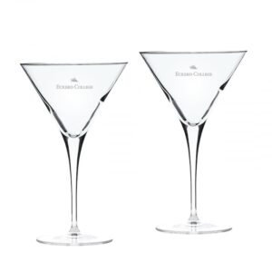 Eckerd Tritons 10oz. 2-Piece Luigi Bormioli Titanium Martini Glass Set