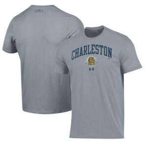 Men's Under Armour Gray Charleston RiverDogs Performance T-Shirt