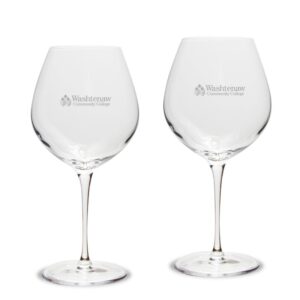 Washtenaw Community College 22oz. Two-Piece Luigi Bormioli Titanium Robusto Wine Glass Set