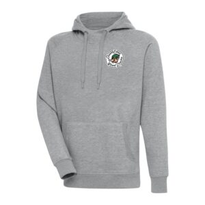 Men's Antigua  Heather Gray Down East Wood Ducks Victory Pullover Hoodie