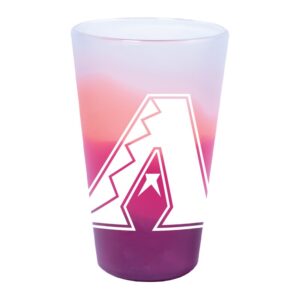 WinCraft Arizona Diamondbacks 16oz. Fashion Silicone Pint Glass