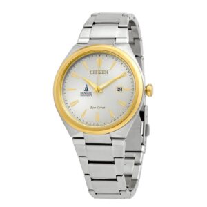 Men's  Silver/Gold Howard Bison Eco-Drive Two-Tone Watch