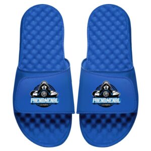 Men's ISlide  Royal AJ Styles Slide Sandals