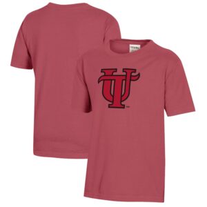 Youth  Crimson Tampa Spartans Logo Comfort Wash T-Shirt