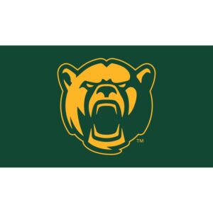 Baylor Bears 28" x 16" Turf Mat