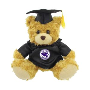 High Point Panthers 12'' Graduation Plush Bear