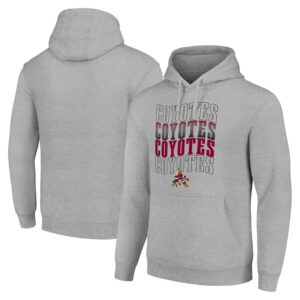 Men's Starter Heather Gray Arizona Coyotes Four Team Name Logo Fleece Pullover Hoodie