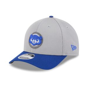 Men's New Era  Gray/Royal Chicago Cubs 2025 Batting Practice 9FORTY M-Crown Adjustable Hat