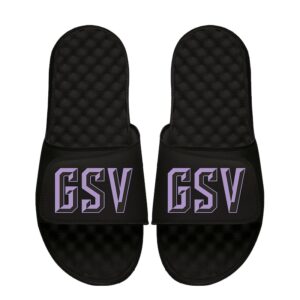 Unisex ISlide Black Golden State Valkyries Secondary Logo Slide Sandals