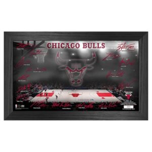 Highland Mint  Chicago Bulls Signature Court Print
