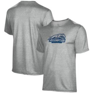 Men's ProSphere  Gray Assumption Greyhounds Baseball T-Shirt